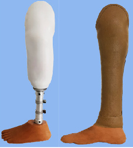 Transtibial prosthesis
