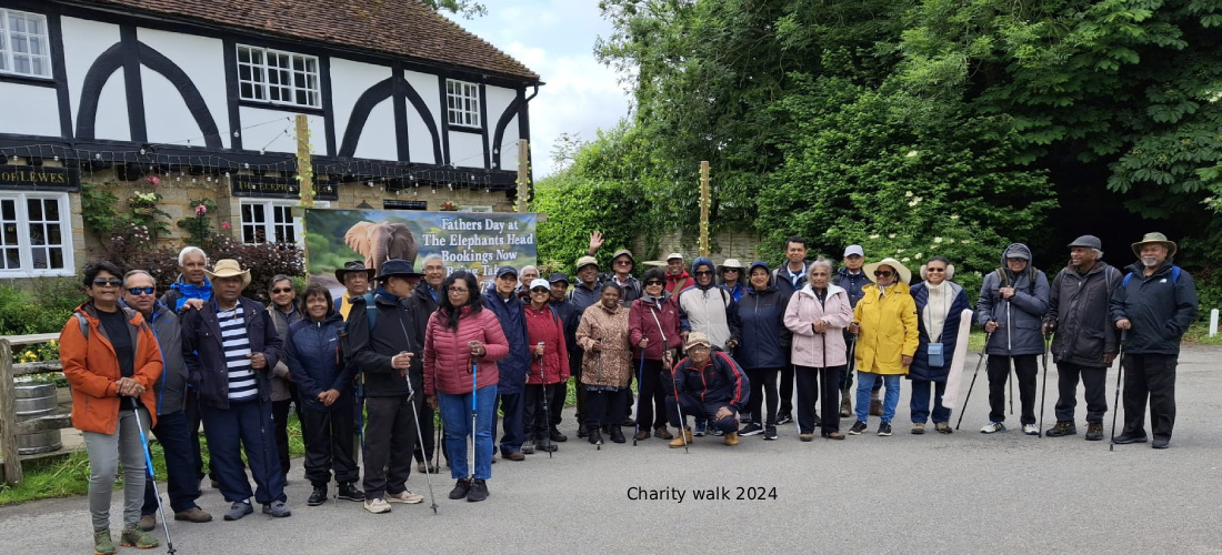 Charity walk 2